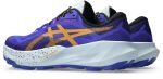 ASICS Trabuco 14