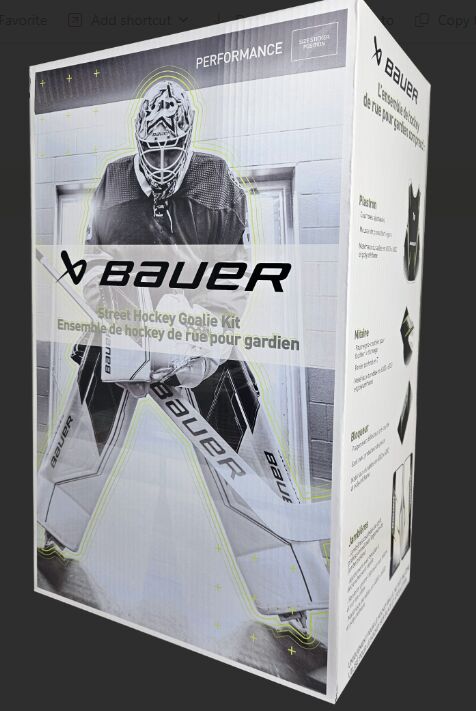 Bauer SV Performance Street Goal Kit