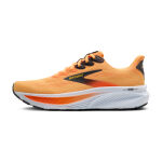 Brooks Ghost 17 M