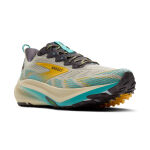 Brooks GHOST TRAIL M