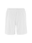 Craft Basket 2.0 Shorts M