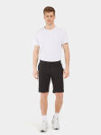 Didriksons Ian Shorts M