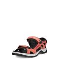 Ecco Offroad Yucatan  Sandal W
