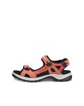 Ecco Offroad Yucatan  Sandal W