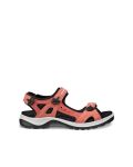 Ecco Offroad Yucatan  Sandal W