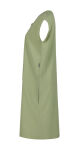 Icepeak Brookline Dress W