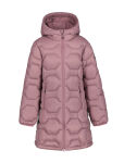 Icepeak Keachi Jr
