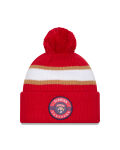 New Era Knit Banded beanie Florida Panthers