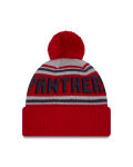 New Era Knit Florida Panthers