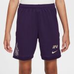 Nike Dri-FIT Soccer Shorts Jr