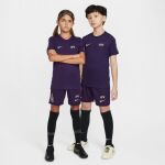 Nike Dri-FIT Soccer Shorts Jr