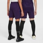 Nike Dri-FIT Soccer Shorts Jr