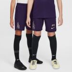 Nike Dri-FIT Soccer Shorts Jr