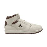 Nike Jordan Court Connect Mid M