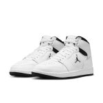 Nike Jordan Court Connect Mid W