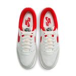Nike Air Jordan Skyline Low M