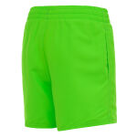 Nike 4" Volley Short Jr