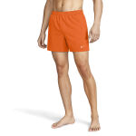 Nike Ess Lap 5 Volley Short