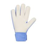 Nike Match Goalkeeper Soccer Gloves Jr