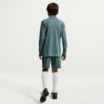 Nike Dri-FIT Academy Short 7"