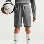 Nike Dri-FIT Academy Short 7"
