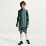 Nike Dri-FIT Academy Short 7"