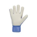 Nike Goalkeeper Soccer Gloves