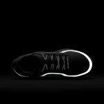 Nike Pegasus Premium W