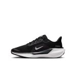 Nike Pegasus 41