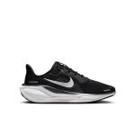 Nike Pegasus 41