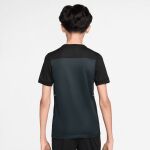 Nike Nike Academy25 Dri-FIT Top Jr