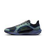 Nike Pegasus 41 GORE-TEX M