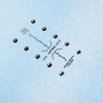 Nitro RIPPER YOUTH + TALENT M LUMILAUTAPAKETTI