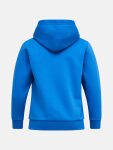 Peak Performance Jr Original Small Logo Hood