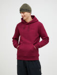 Peak Performance M Original Small Logo Hood