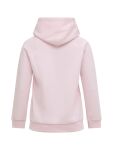 Peak Performance W Original Hood