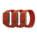 Polar Wristband Loop