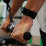 Polar Wristband Loop