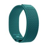 Polar Wristband Loop