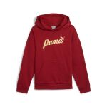 Puma Ess+ Script Metallic Hoodie Fl Jr