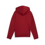 Puma Ess+ Script Metallic Hoodie Fl Jr
