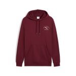 Puma Class Graphic Hoodie Fl M