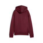 Puma Class Relaxed Hoodie Fl W