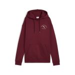 Puma Class Relaxed Hoodie Fl W