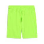 Puma Teamgoal Shorts