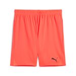 Puma Teamgoal Shorts
