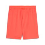 Puma Teamgoal Shorts