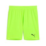 Puma Teamgoal Shorts