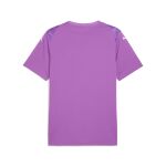 Puma Teamultimate Jersey