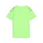 Puma Teamultimate Jersey Jr